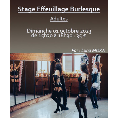 Stage Effeuillage Burlesque
